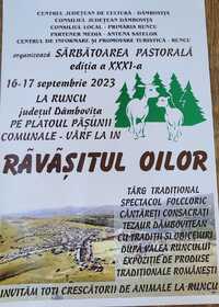 ravasitul oilor -16-17sept 2023.jpg